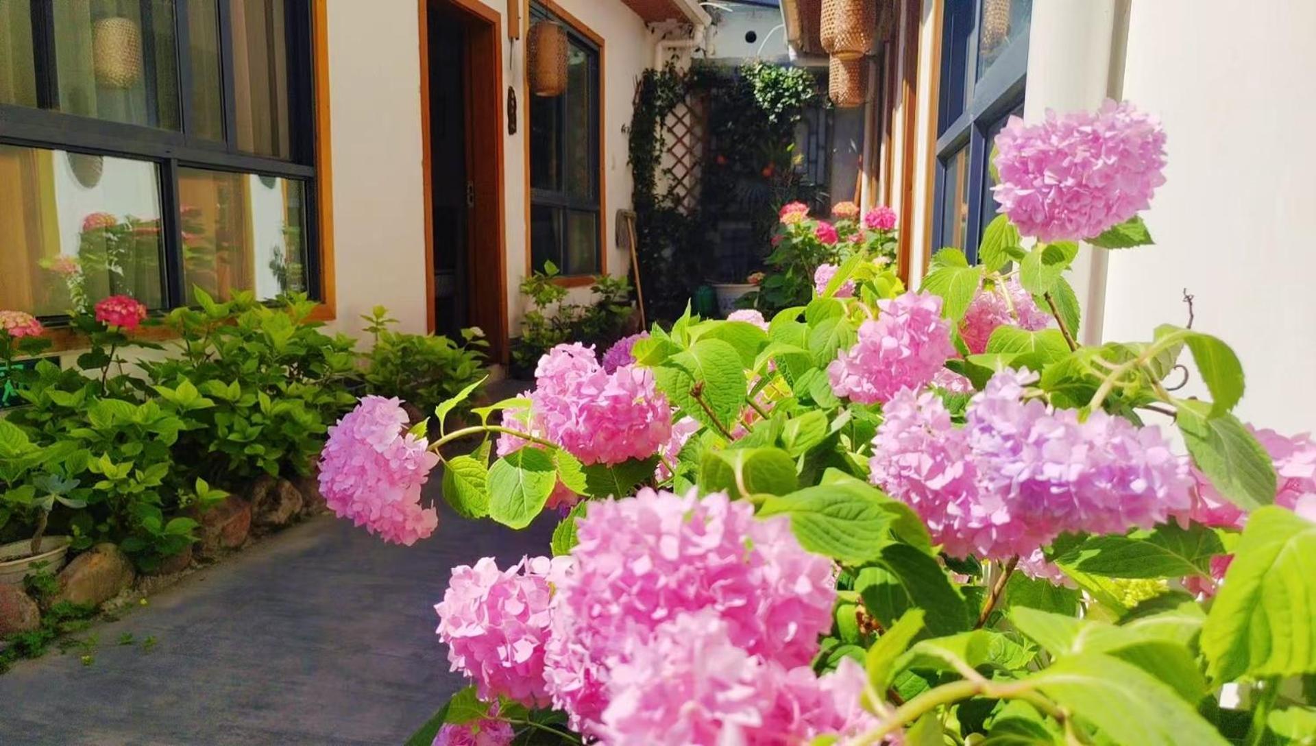 Zhangjiajie Tingyutang Little Yard מראה חיצוני תמונה